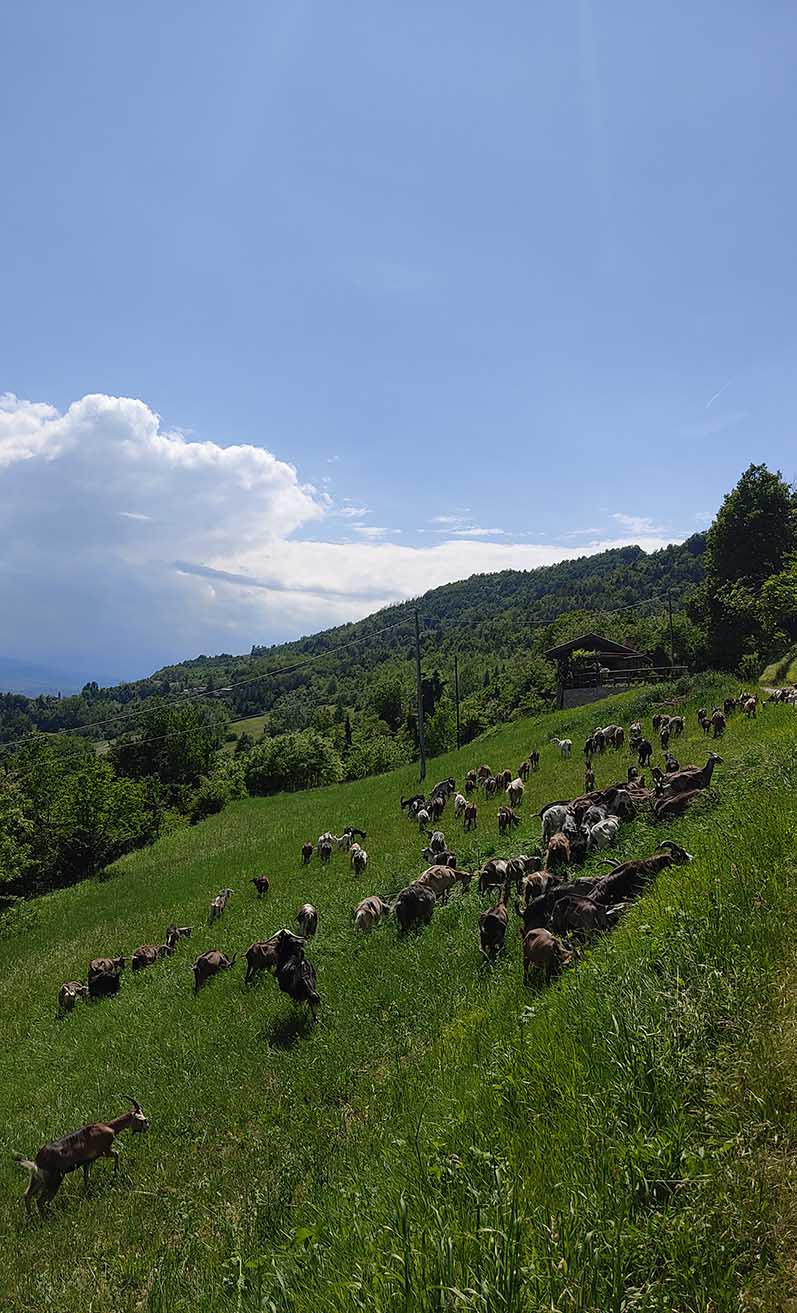 Cascina San Giovanni 4