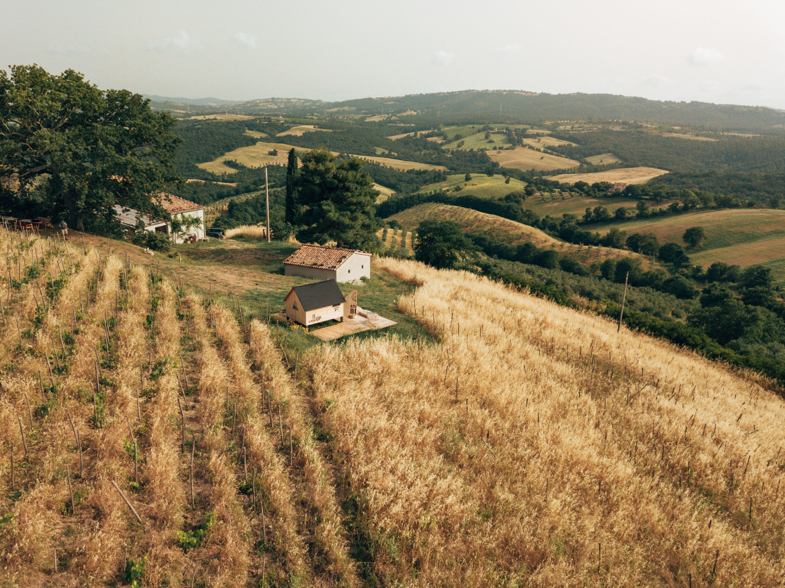 Fattoria La Maliosa - 4