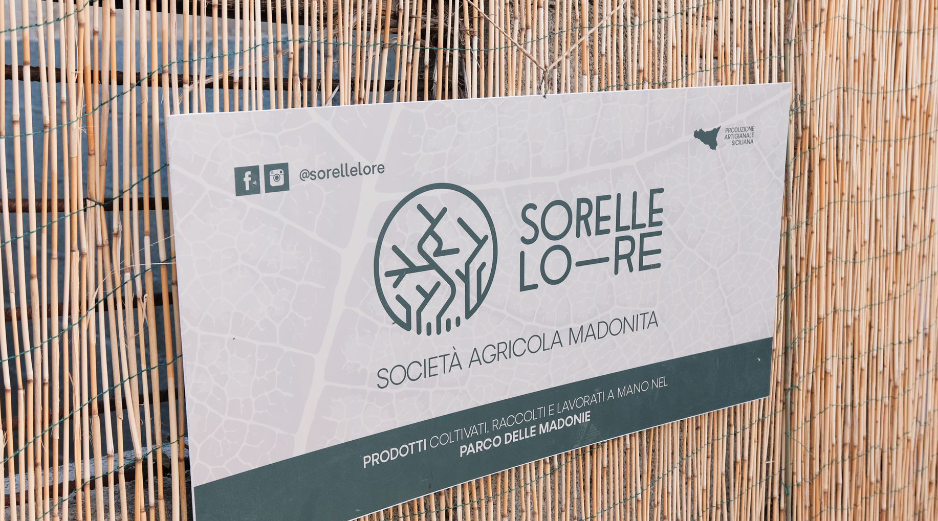 sorelle