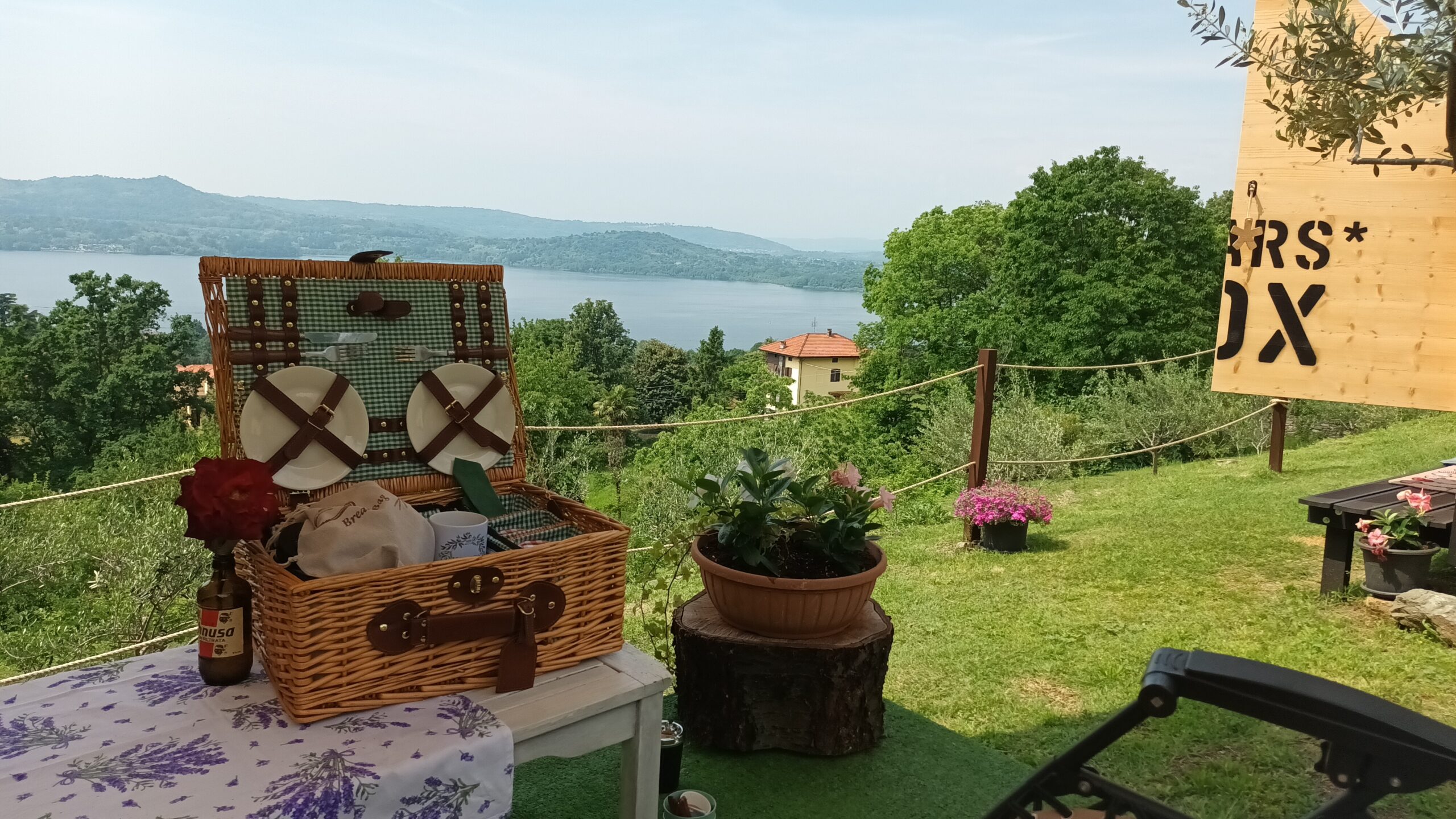 Il nido tra gli ulivi - 2
