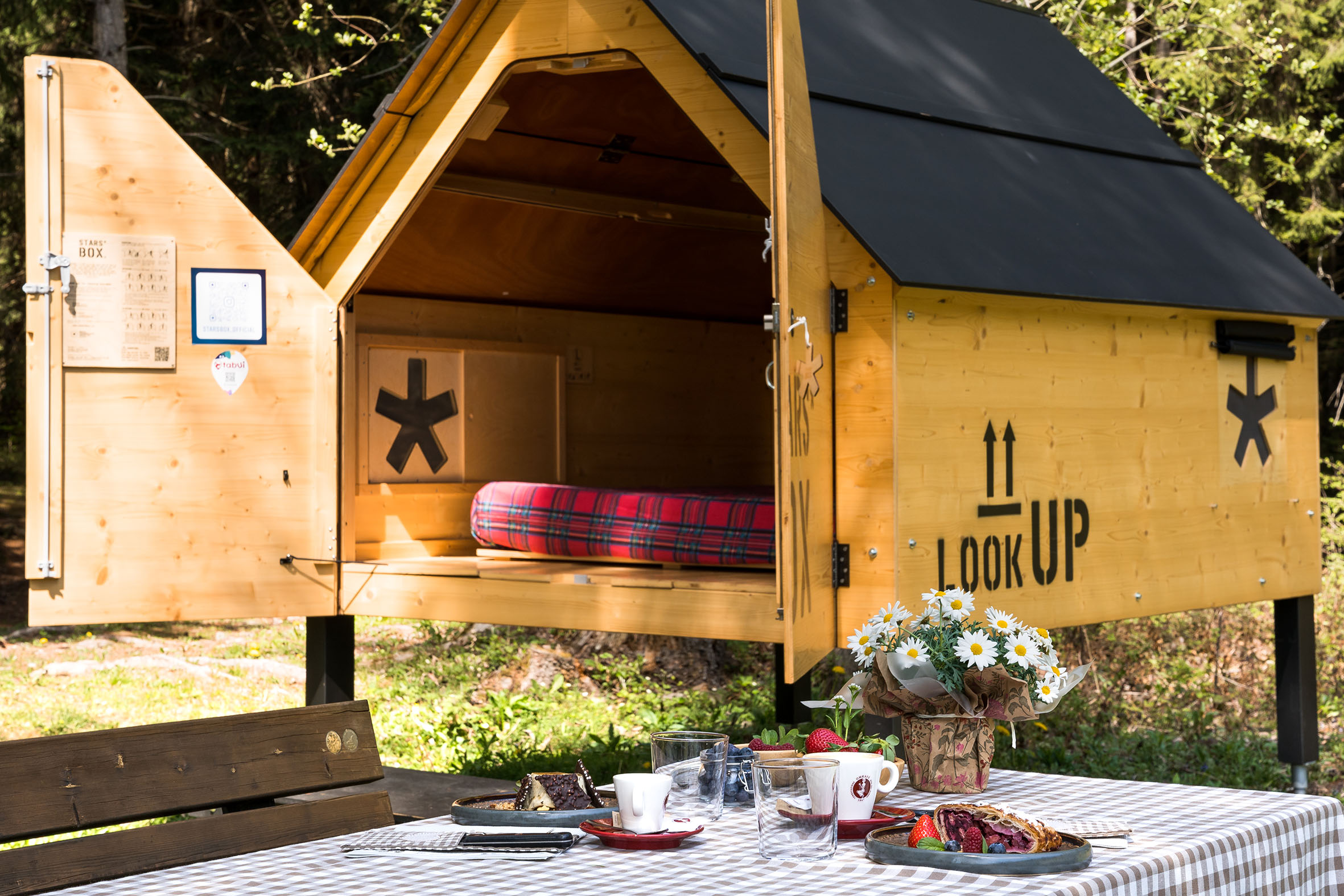 Forest Camp 2