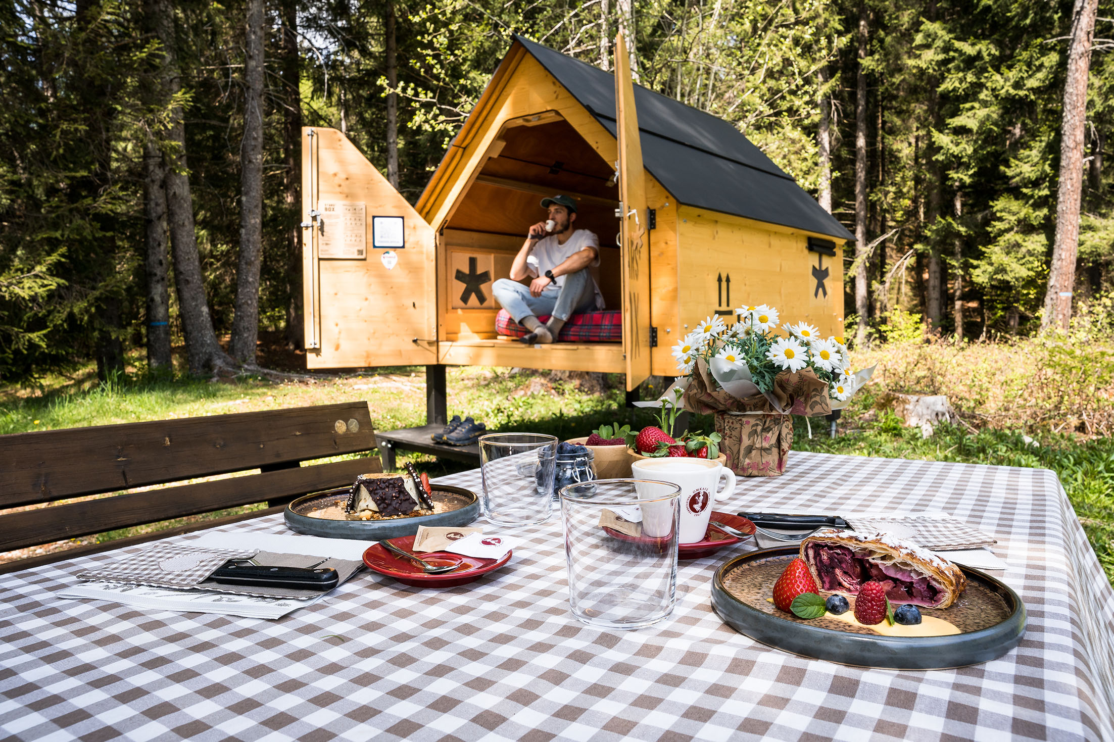 Forest Camp 3