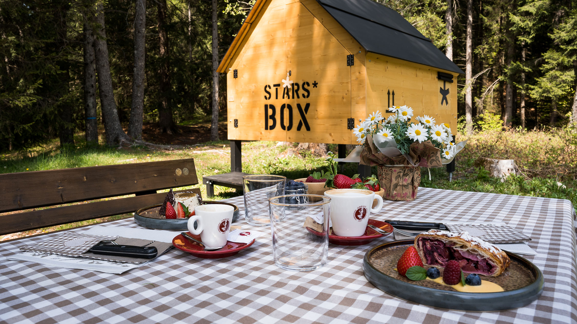 Forest Camp 4