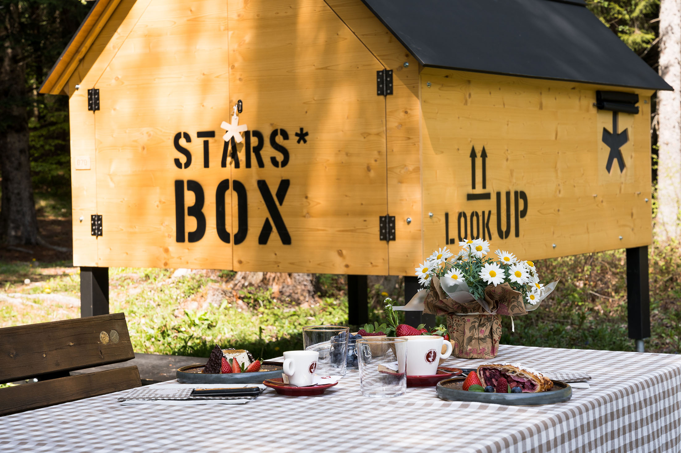 Forest Camp 5