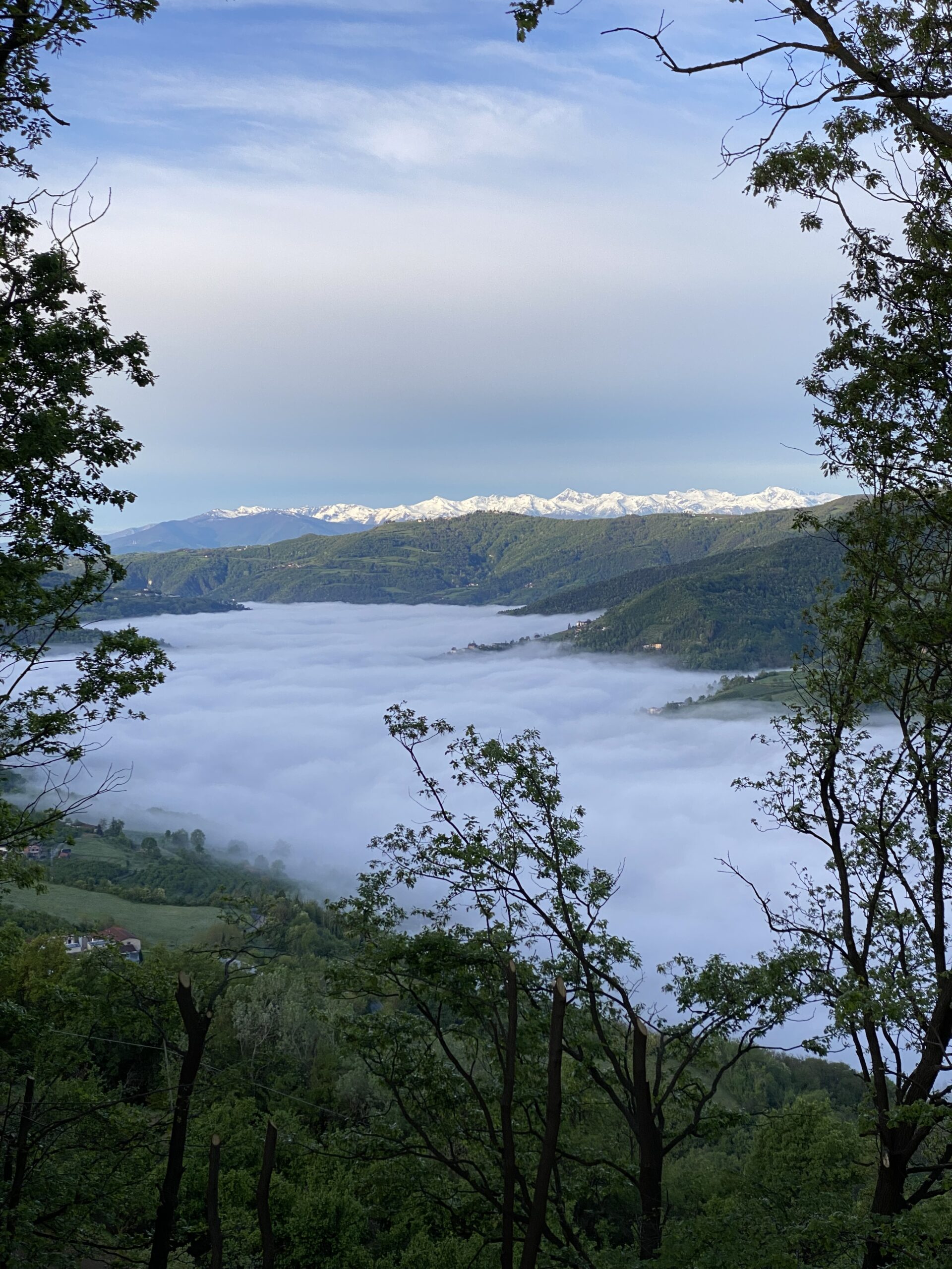 La Duchessa - 3