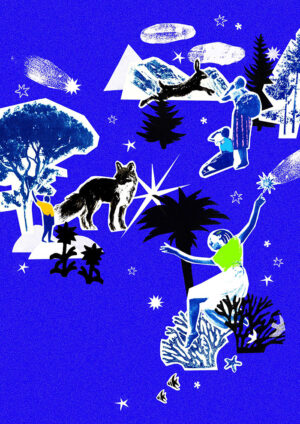 StarsBox_DEF_illustrazione_2025