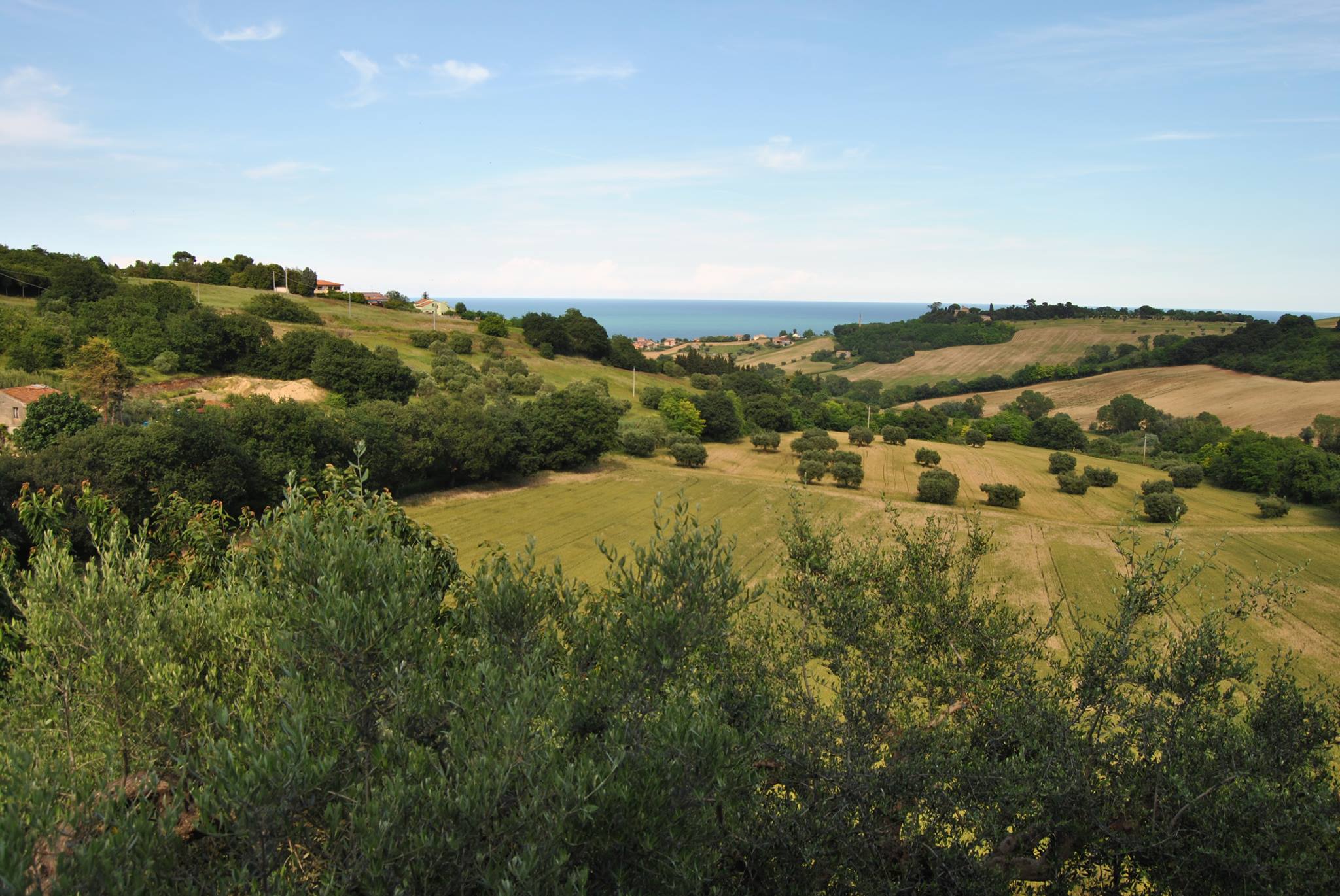 L'orto del marinaio-3