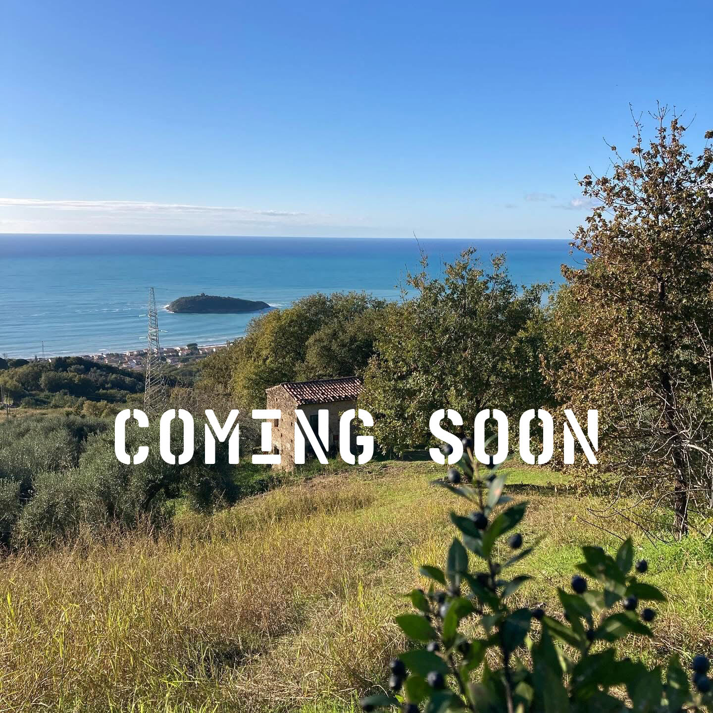 Petra Glamping-1 coming soon