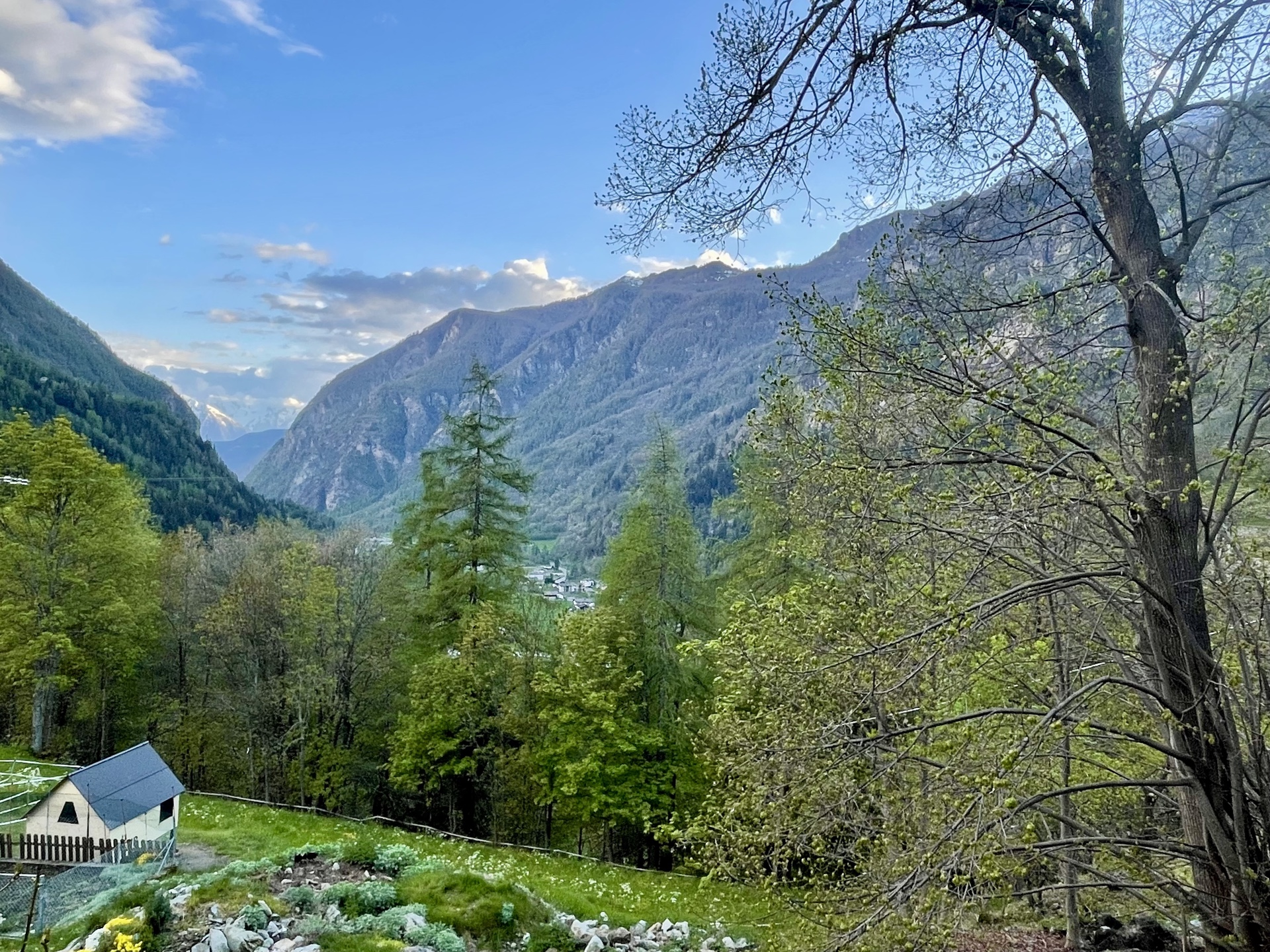MONTAZ ALPINE HOME 5