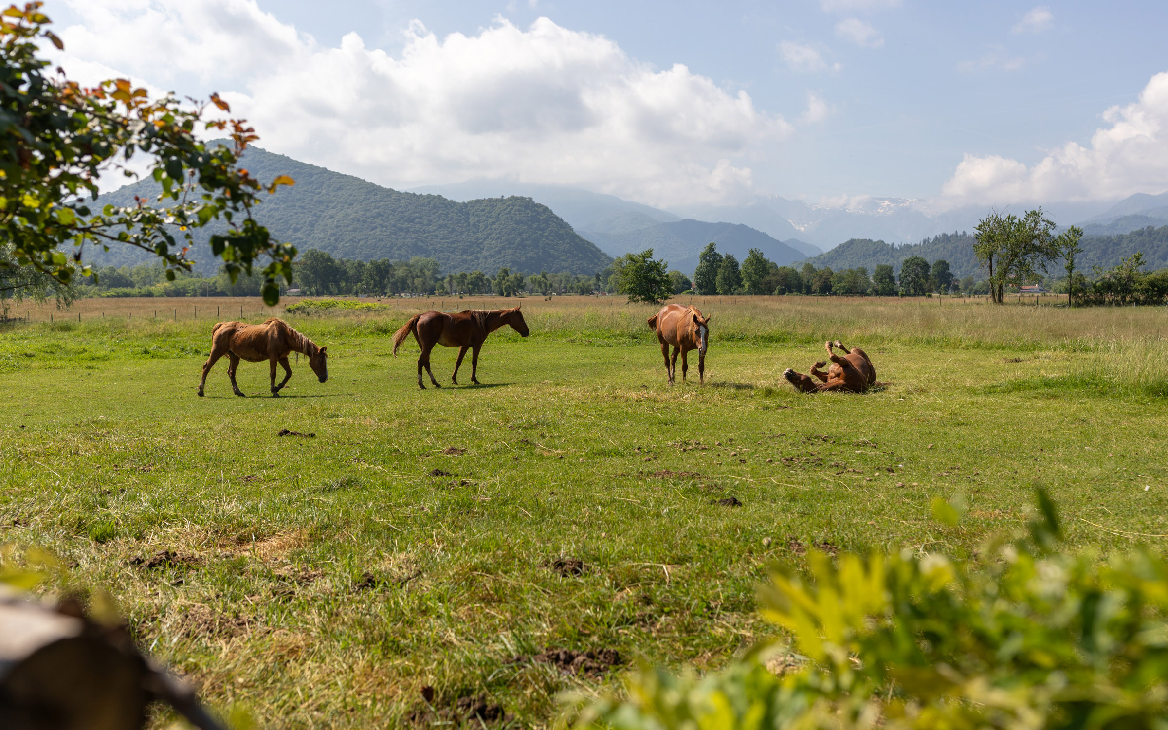 Agriturismo Coc Nèr-1